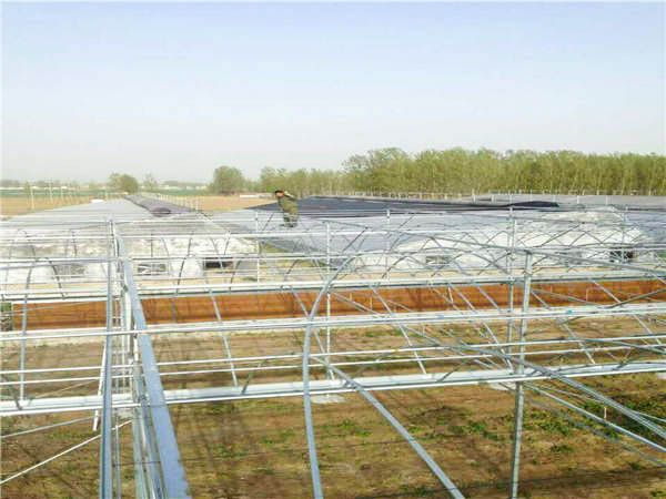 購買大棚骨架需要注意什么？